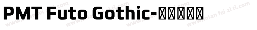 PMT Futo Gothic字体转换